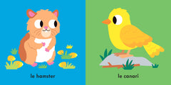 Mes petits doigts curieux - Les animaux familiers