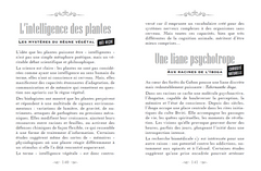 Petites Histoires de nature