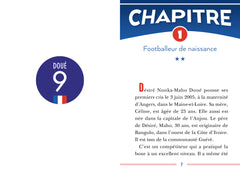 Destins de champions, Tome 29 - Une biographie de Désiré Doué