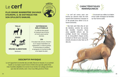 Mes animaux du monde - Les animaux de la forêt