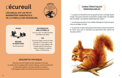 Mes animaux du monde - Les animaux de la forêt
