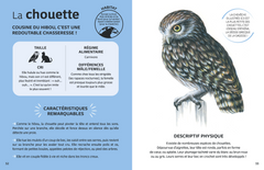 Les animaux de la forêt