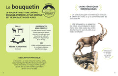 Les animaux de la montagne