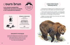 Les animaux de la montagne