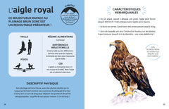 Les animaux de la montagne