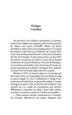 Une baleine sous le gravier