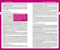 Guide du Routard Istanbul 2026/27