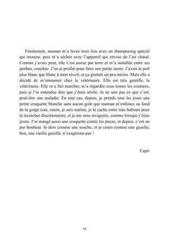 Le Pense-bêtes