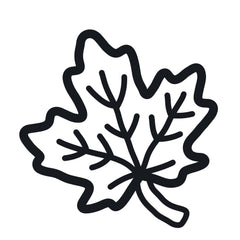 Je colorie sans déborder - L'automne