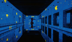Matisse (Publication officielle Bassins des Lumières Bordeaux)