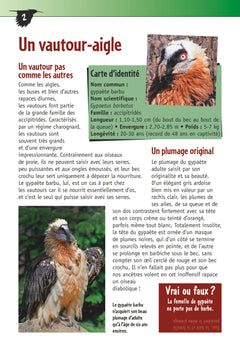 Le gypaète barbu (3e ed)