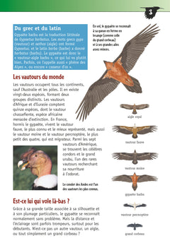 Le gypaète barbu (3e ed)