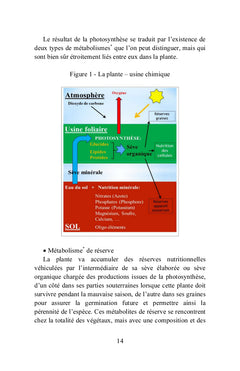 Des plantes alimentaires, médicinales, toxiques, aux compléments alimentaires
