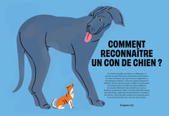 Con de chien