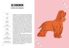 Con de chien
