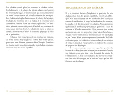 Le petit livre des chakras
