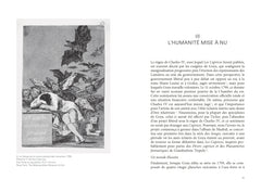 Goya, au temps de la Déraison