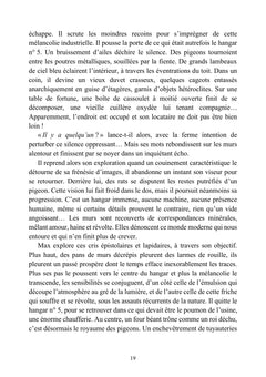 Les aurores boréales
