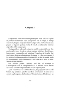 Les aurores boréales