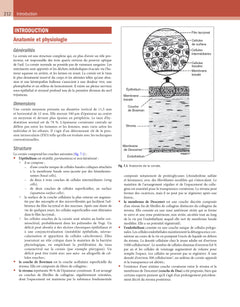 Kanski - Ophtalmologie clinique