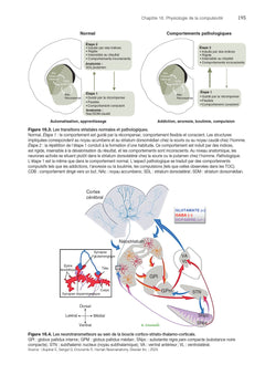 Physiologie des maladies mentales