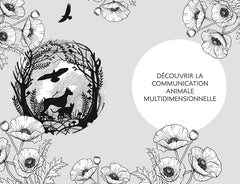 Communication animale