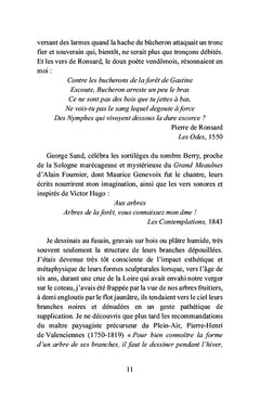 Bois-le-Roi à la lisière de la forêt
