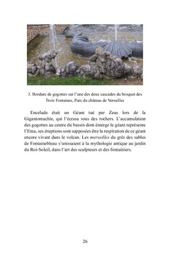 Bois-le-Roi à la lisière de la forêt