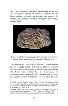 Bois-le-Roi à la lisière de la forêt