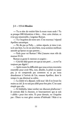 Un voyage presque parfait