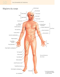 Pilates et anatomie
