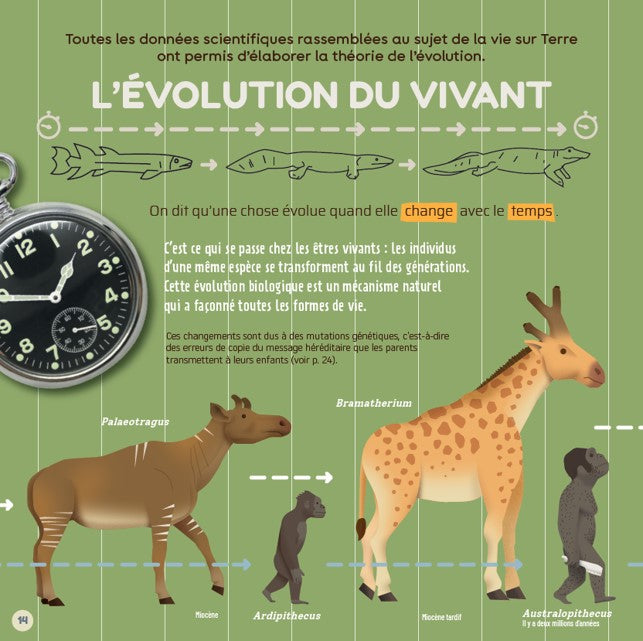 L'évolution même pas peur !