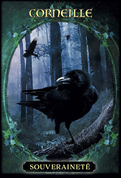 L'oracle des familiers des sorcières