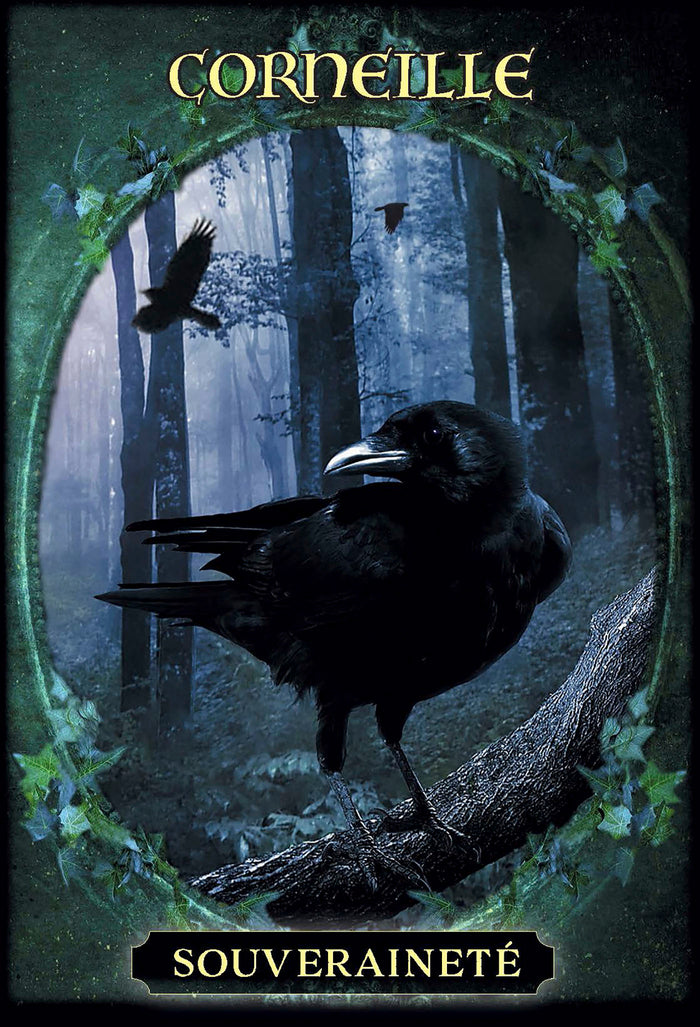 L'oracle des familiers des sorcières