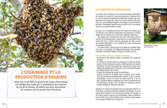 La ruche basse consommation d'énergie - Une révolution apicole