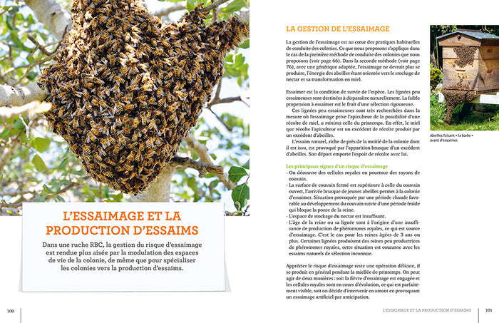La ruche basse consommation d'énergie - Une révolution apicole