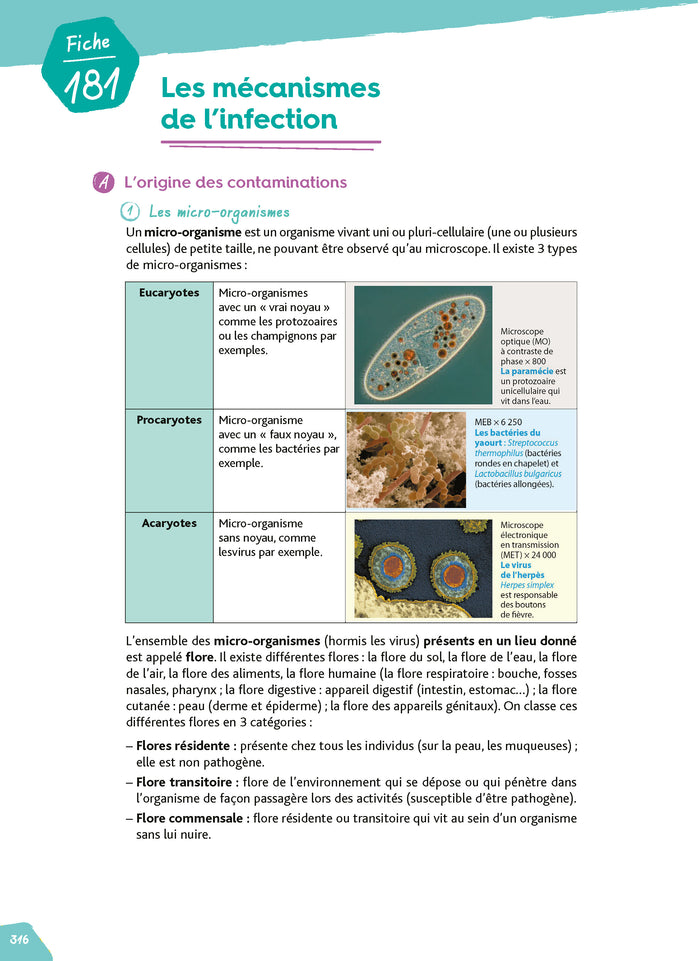 Réussir le diplôme d'État Auxiliaire de puériculture