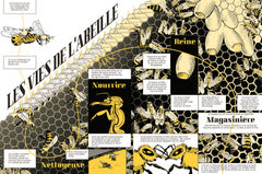 Les abeilles se cachent pour mourir