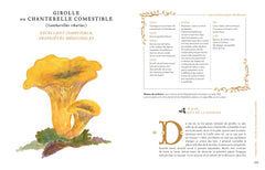 Grimoire d'une cueilleuse de champignons