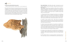Grimoire d'une cueilleuse de champignons