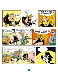 Idéfix et les Irréductibles Tome 9 - Goudurix fait le mur