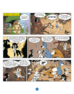 Idéfix et les Irréductibles Tome 9 - Goudurix fait le mur