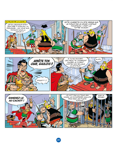 Idéfix et les Irréductibles Tome 9 - Goudurix fait le mur