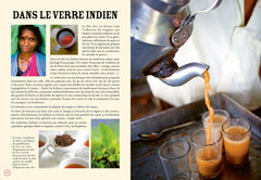 Bollyfood: La cuisine indienne en 100 recettes