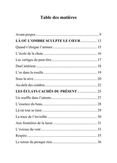 Au revers de la lumière