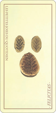 L'Oracle des minéraux