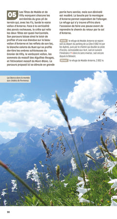 Vallée de Chamonix, les plus belles randonnées (2e ed)