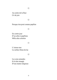 Petits pans de vie