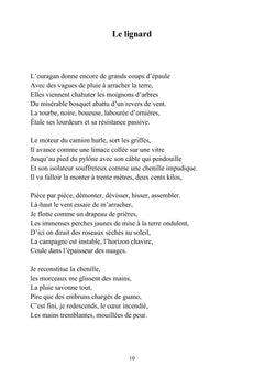 Mémoire de forme