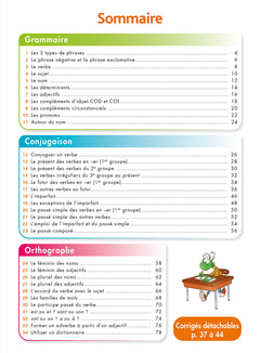Pour comprendre DYS Français CM1 - CM2